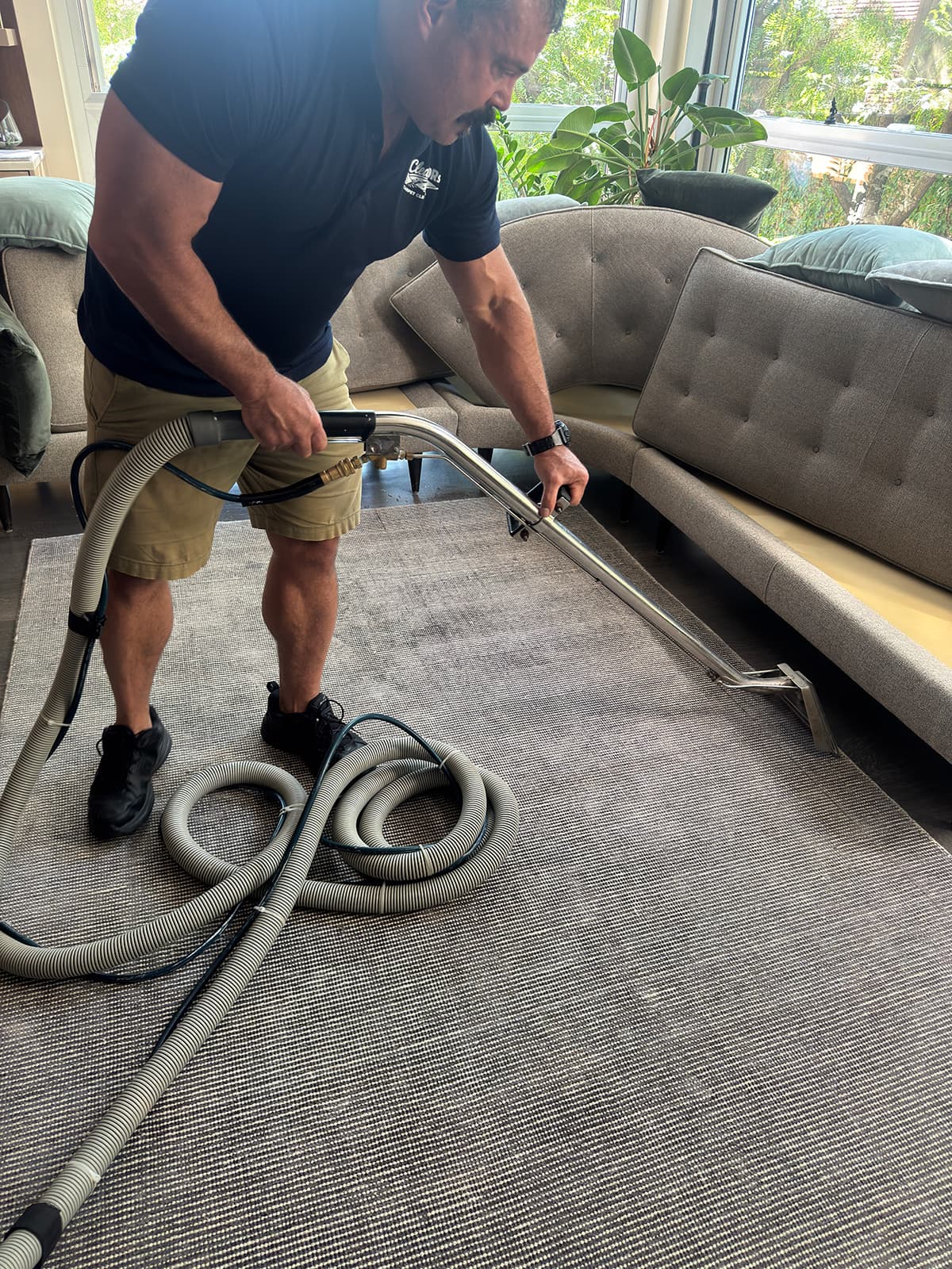 A technician cleaning a large flat-weave area rug in a sunlit room beside a sectional