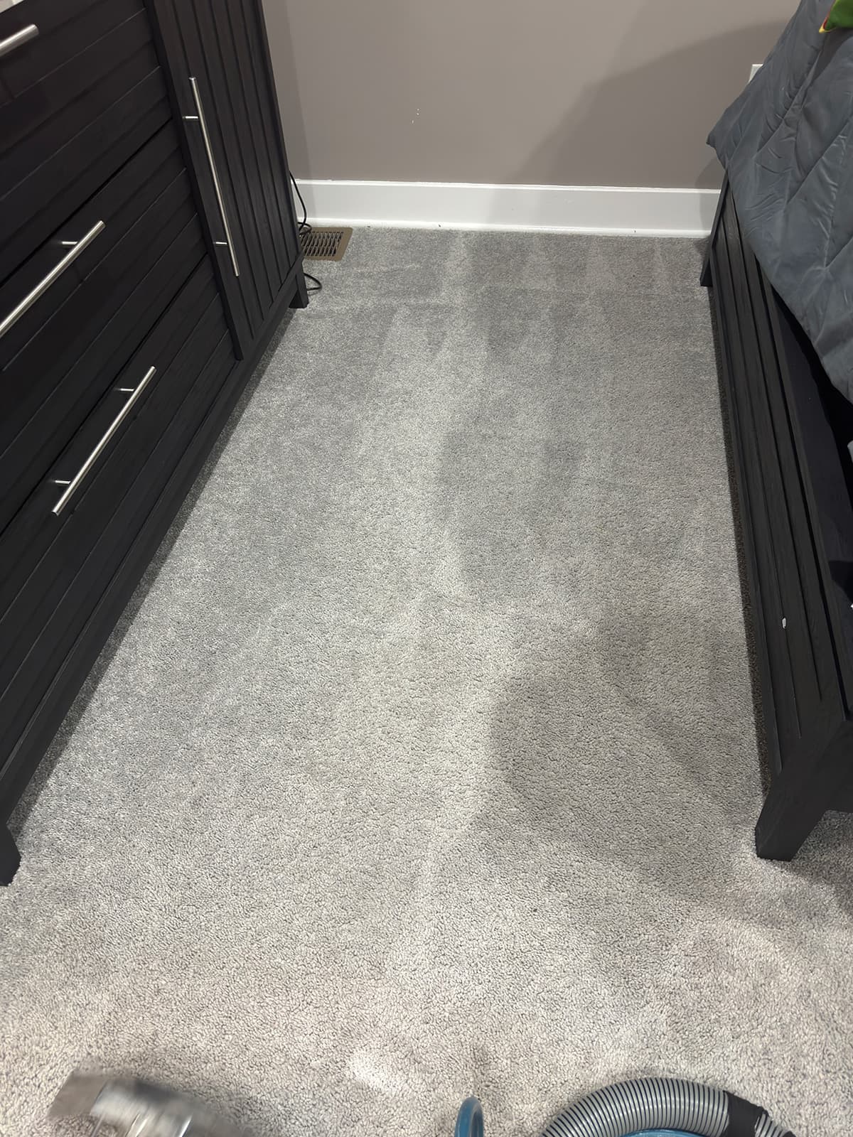 Freshly cleaned grey carpet between a dark dresser and a bed frame, wand passes still showing