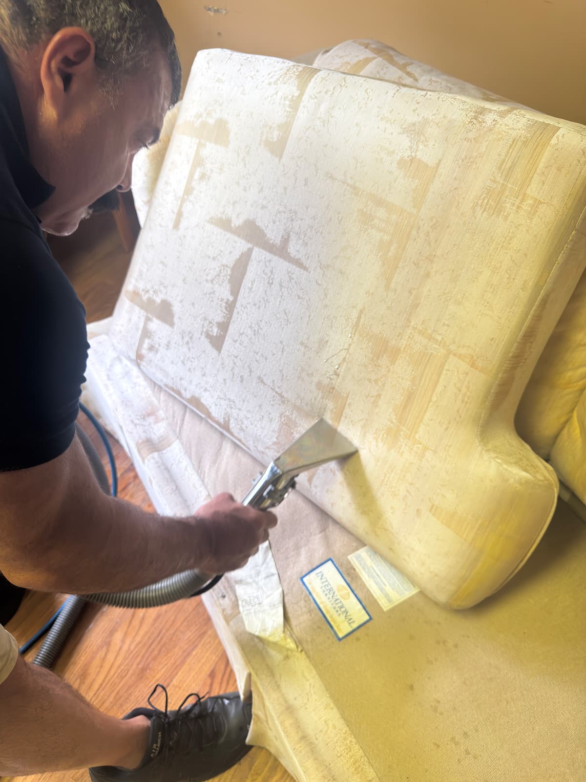 A technician cleaning a cream sofa cushion, with clean stripes where the tool has already passed